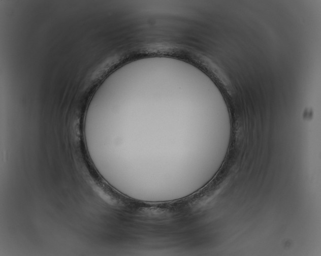 X0000089430633200707131845