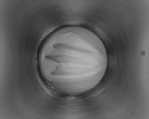 X0000089430634200707131845