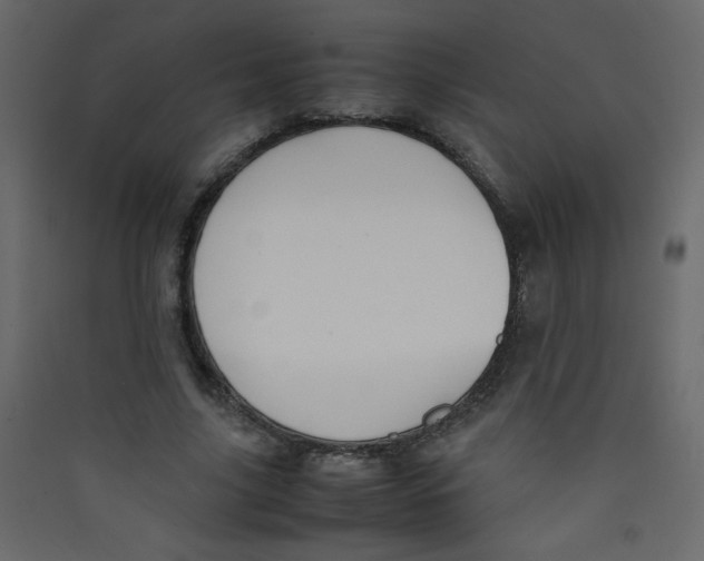 X0000089430635200707131845