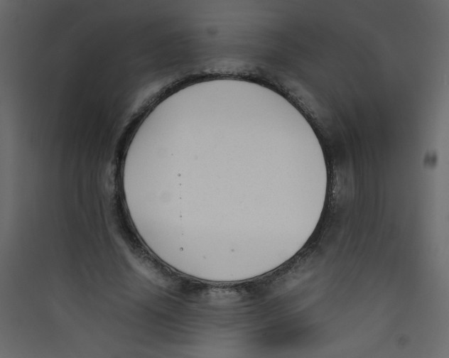 X0000089430636200707131845