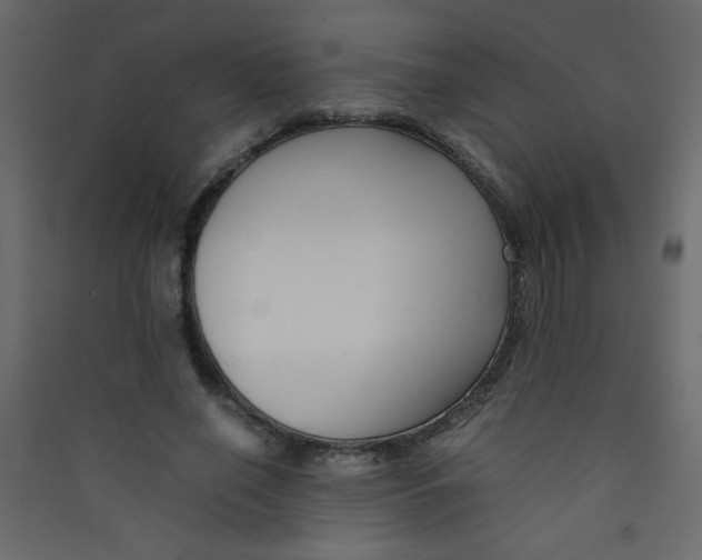 X0000089430638200707131845