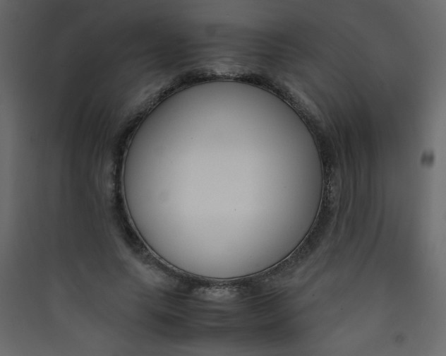 X0000089430639200707131845