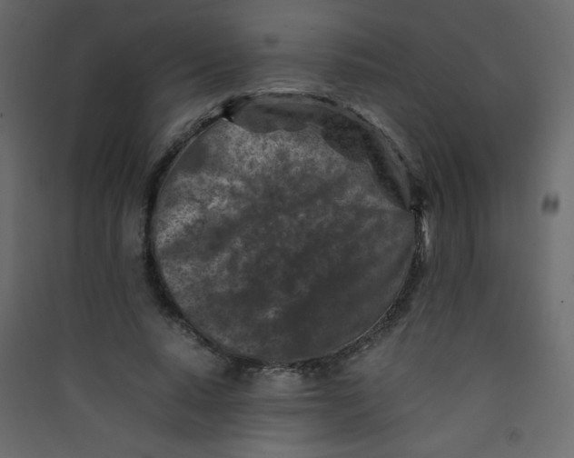 X0000089430640200707131845