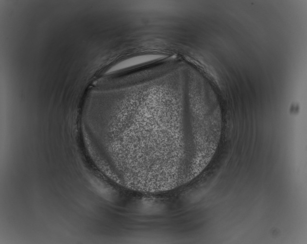 X0000089430641200707131845