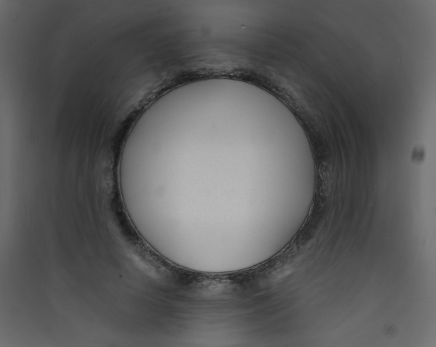 X0000089430642200707131845