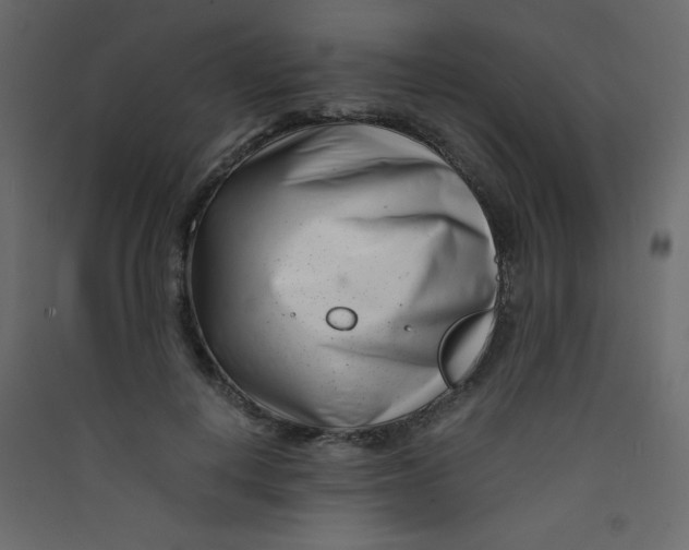X0000089430648200707131845