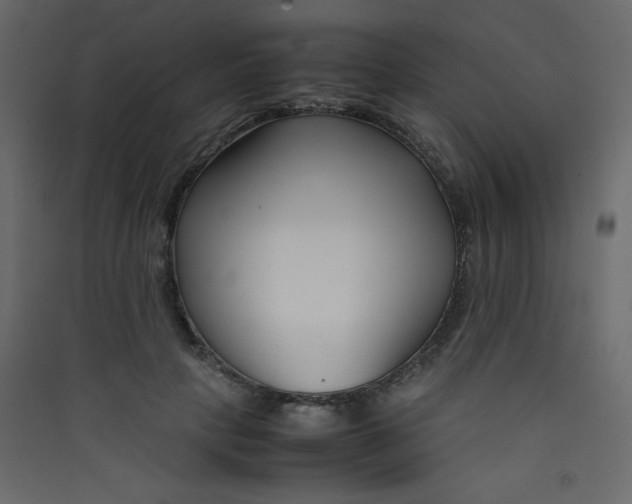 X0000089430649200707131845