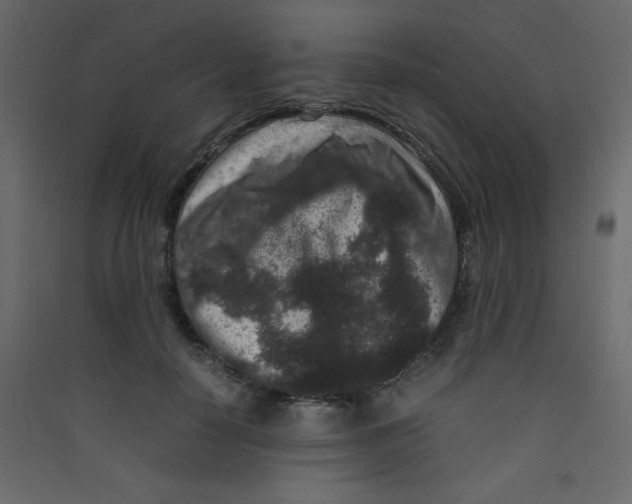 X0000089430650200707131845