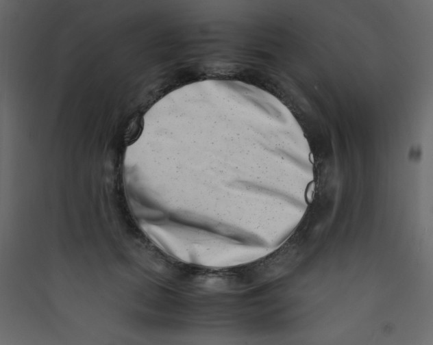 X0000089430655200707131845