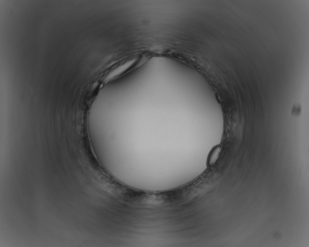 X0000089430656200707131845