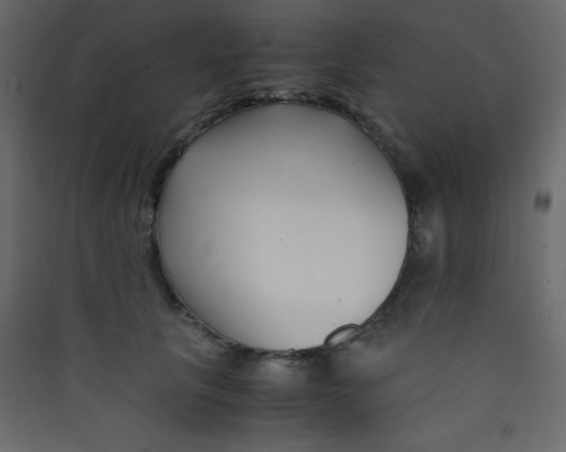 X0000089430657200707131845