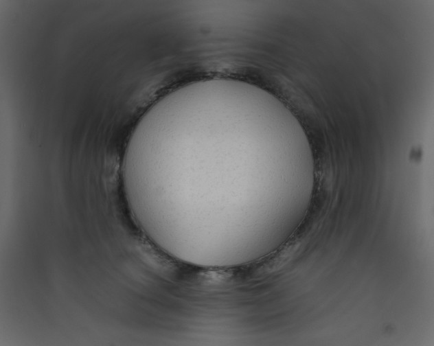 X0000089430660200707131845