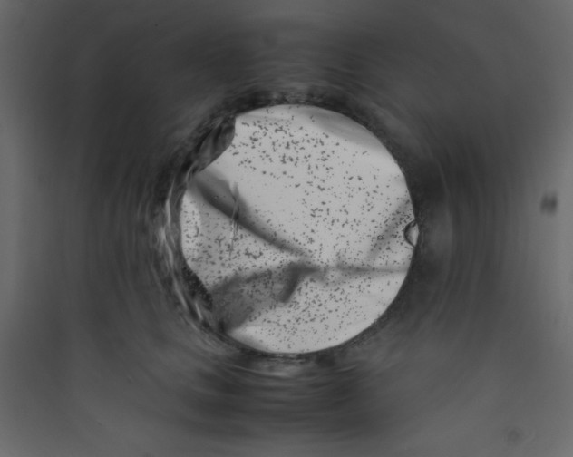 X0000089430661200707131845