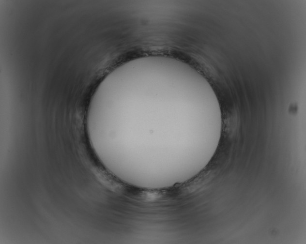 X0000089430662200707131845