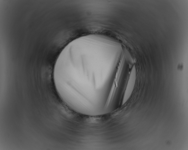 X0000089430664200707131845