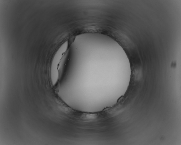 X0000089430665200707131845