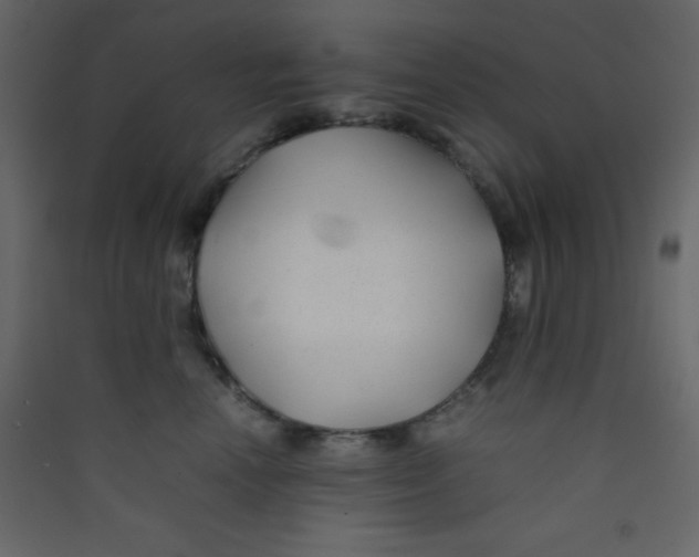 X0000089430666200707131845