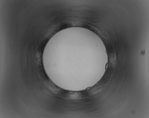 X0000089430667200707131845