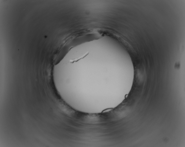 X0000089430668200707131845