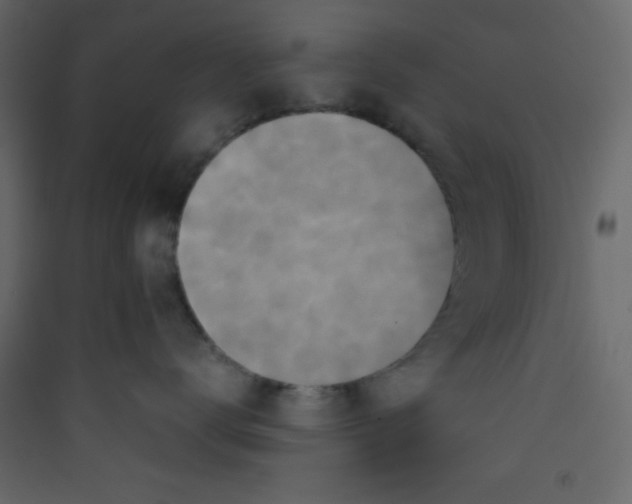 X0000089430672200707131845