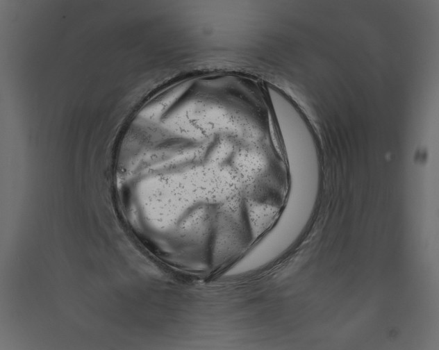 X0000089430673200707131845