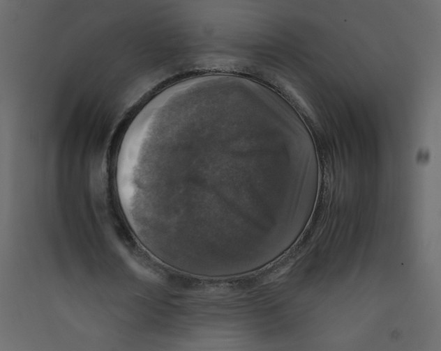 X0000089430674200707131845