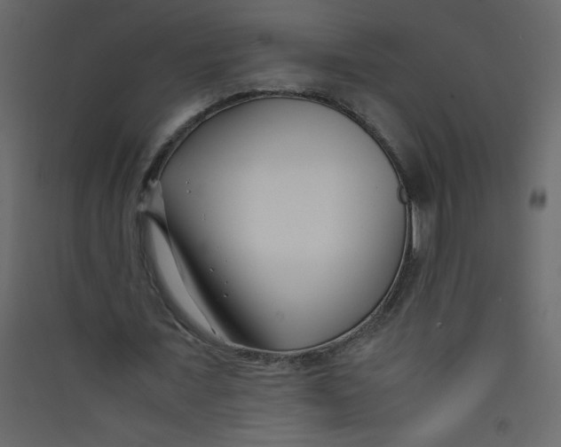 X0000089430675200707131845
