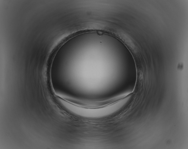 X0000089430676200707131845