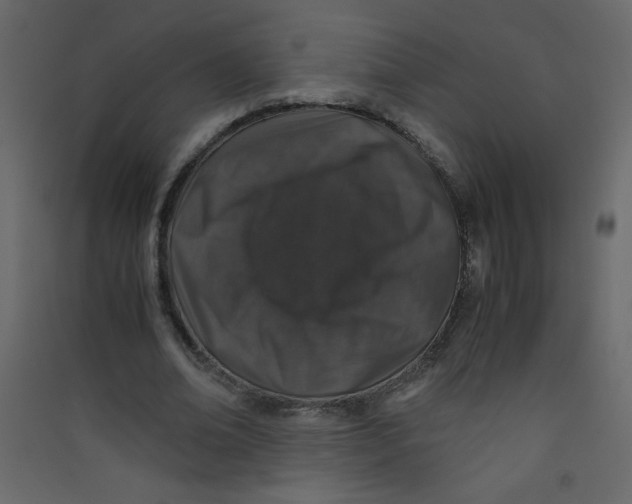 X0000089430678200707131845