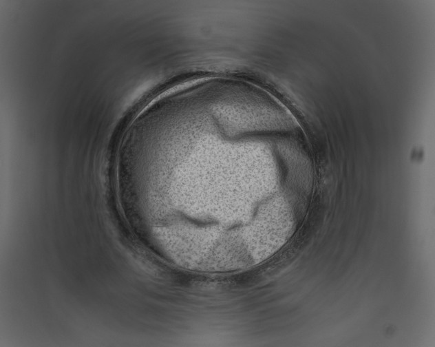 X0000089430679200707131845