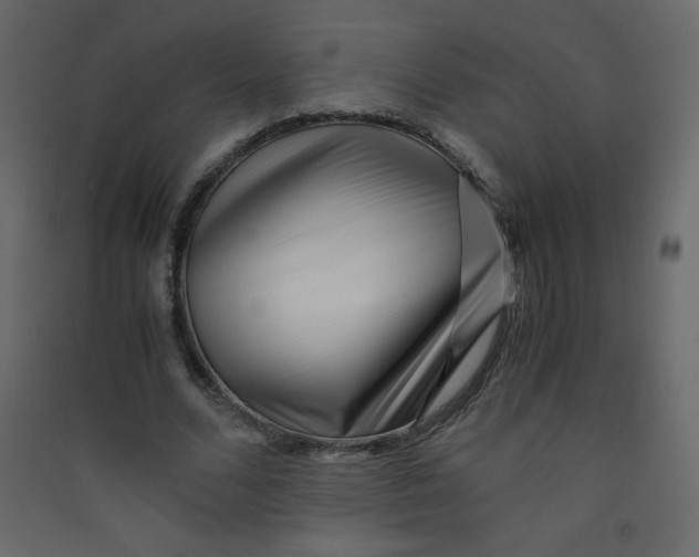 X0000089430680200707131845