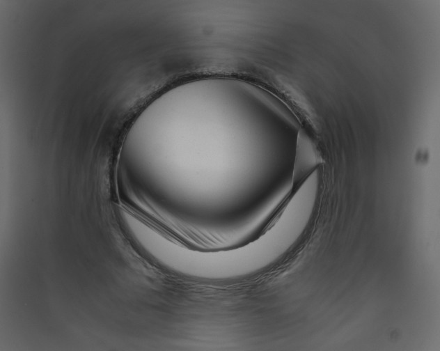 X0000089430681200707131845