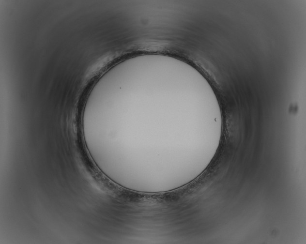X0000089430682200707131845