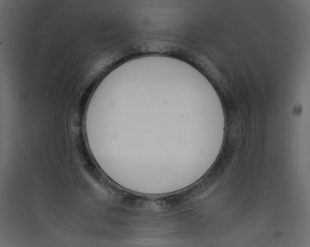 X0000089430683200707131845