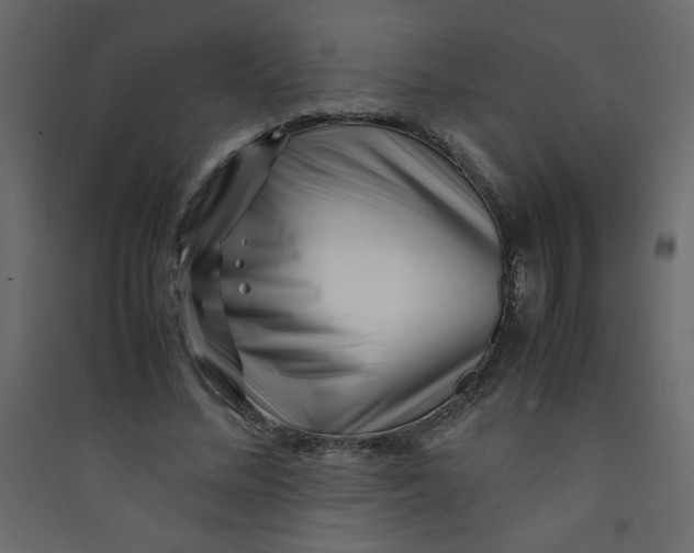 X0000089430684200707131845