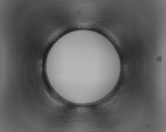 X0000089430686200707131845