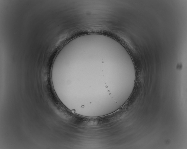 X0000089430687200707131845