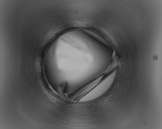 X0000089430688200707131844