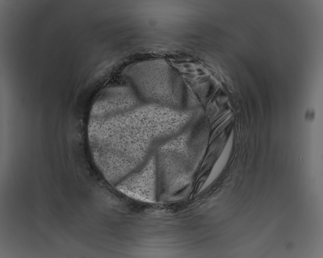 X0000089430689200707131844