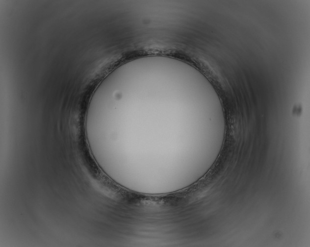 X0000089430690200707131844