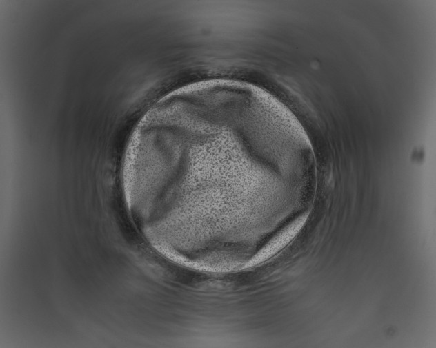 X0000089430691200707131844