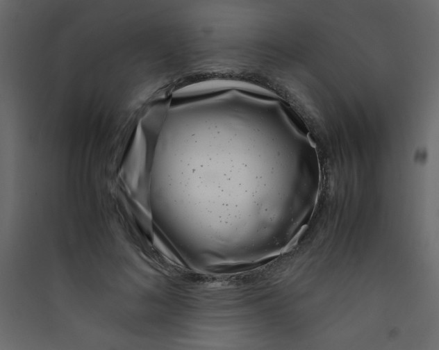 X0000089430692200707131844