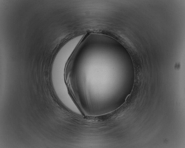 X0000089430693200707131844