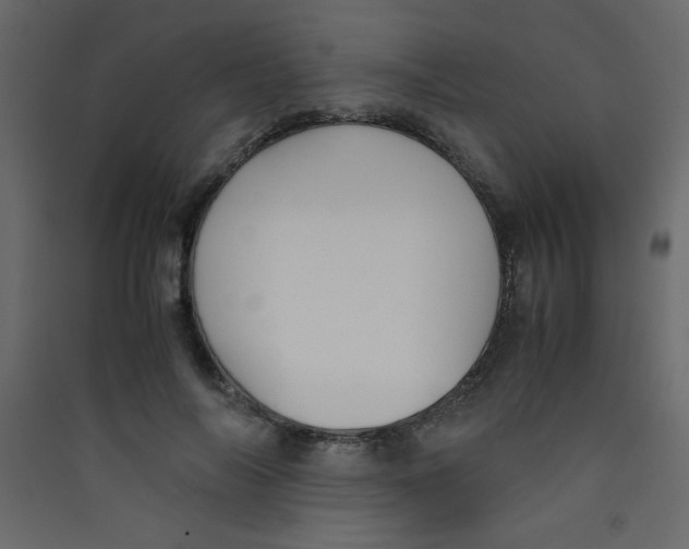 X0000089430694200707131844