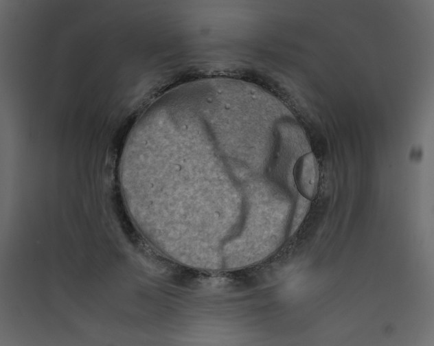 X0000089430695200707131844