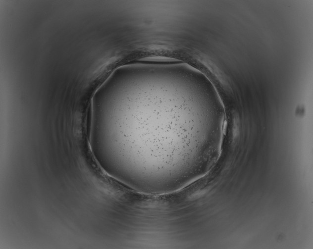 X0000089430696200707131844