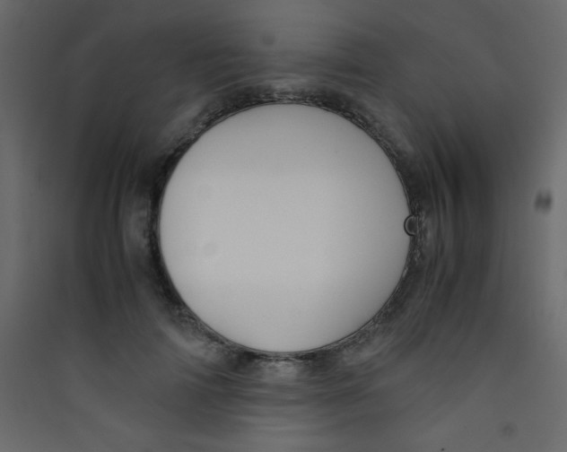 X0000089430698200707131844