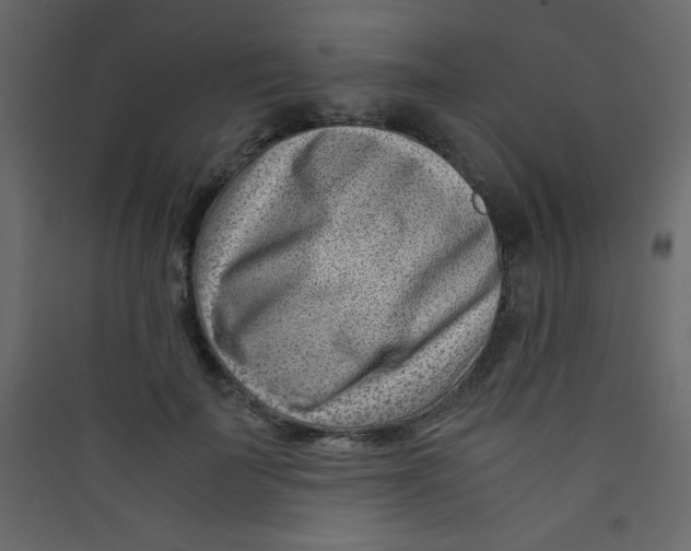 X0000089430699200707131844