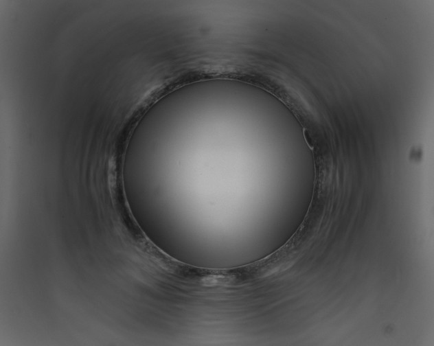 X0000089430700200707131844
