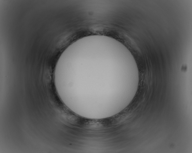 X0000089430702200707131844